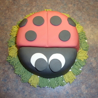 Ladybug Cake I made this cake after my boyfriends mother bought me a book with the design in it.