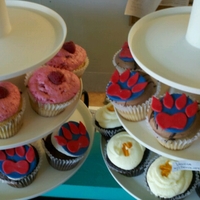 Power Tower Pic Sorry, I didn't get pictures of them individually... so group shot!Vegan Almond cake with fresh raspberry buttercream.Vegan vanilla...