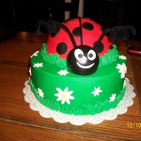 Ladybug Birthday Cake Cake for a 2 year old's party. Head is fondant and the rest is buttercream. The little girl loved this cake!
