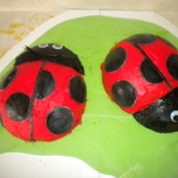 Lady Bugs Cake I made for my daughter's 2nd birthday.