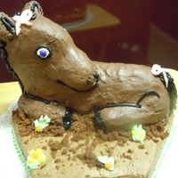 Yeehaw 3d Horse made from the lamb pan. Built up the nose and legs with RKT first horse cake and first time using RKT.