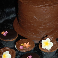 Chocolate Fix Main cake is 2 x 8" stacked choc mud with choc ganache. Fresh flowers to be added. Choc cuppies with choc ganache. Gumpaste flowers....