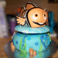Nemo This was my first attempt at using fondant icing and carving cake. I made the Nemo cake for my daughters 3rd birthday. It was a lot of fun...