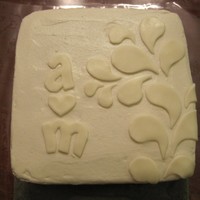 A And M's Engagement My brother and his fiancee asked me to make the cake for their upcoming wedding in August. So when they were out visiting at Thanksgiving...