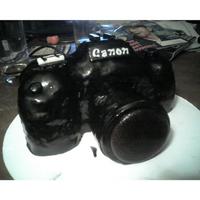 Canon 30D cake i made last year for my boyfriend!