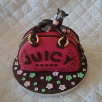 Donkey On A Juicy Handbag made for my best friend for her b day she is mad about donkeys and bags.. choc fudge cake