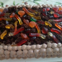 Worm Cake marble cake with chocolate icing , for 2 yr old bug