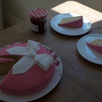 My First Ever Cake! This is my first attempt at decorating since I was ten years old, when I'm sure my mum probably did most of it for me (but let me...