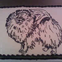 Black And White Pomeranian This is actually a petit four cake. It is white cake iced with butter cream and then covered in white chocolate. I drew a Pomeranian on it...