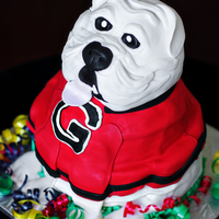 Uga Bulldog Tuxedo Cake (Chocolate and Vanilla Bean layers), filled with Whipped Chocolate Ganache and covered in Vanilla Bean Buttercream and...