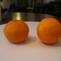 Gumpaste Clementine Gumpaste clementine next to a real one