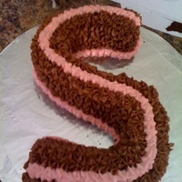 S Cake For Swicegood Family Reunion S cake is layered chocolate cake with strawberry butter cream and chocolate butter cream. Made this cake for my family reunion.