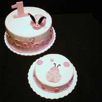 Pink Lady Bug Cake This is a pink ladybug cake and smash cake. I was inspired by the pink ladybug cake by lenajackson. It was alot of fun to do. Thanks to...