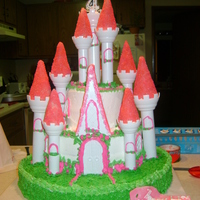 Princess Castle made this cake for boyfriends granddaughter