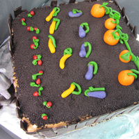 Garden Cream cheese frosting. Oreo crumbs. Dark chocolate fondant tree stump and fence. Gumpaste bunny. Marzipan fruit.