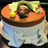 Welcome Baby Boy! All decorations are fondant.