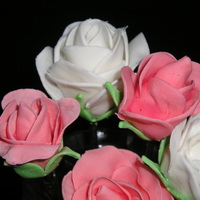 Gumpaste Roses First attempt at gumpaste roses