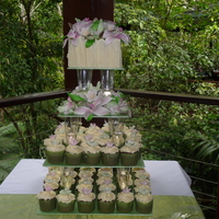 Tropical Paradise This was for my sisters wedding. I handmade all the sugar-flowers (lilies, frangipanis and green orchids) and then drove them 3500km up to...