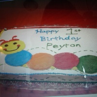 Baby's 1St Baby Einstein's Catapillar but I did it all free hand. My son had a milk allergy so this was my first cake. I made the buttercream...