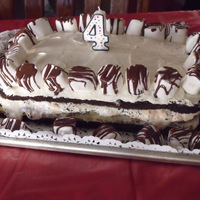 Marshmallow Lasagne This is my own special creation based on my then 3 year old's demand for a Marshmallow Lasagne cake (Her favorite Nick, Jr. show gave...