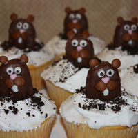 Groundhog Day Cupcakes We were snowed in today after a big blizzard, so it was the perfect opportunity for me to make these Groundhog Day cupcakes from Family Fun...