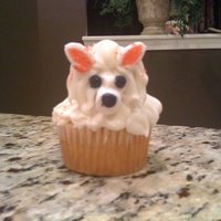 Westie westie cupcake.