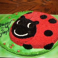 Lady Bug Cake 