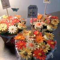 Flowerpot Cupcakes 