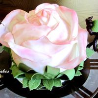 Teapot Rose Cake. Teapot Rose Cake done for a fun tea party photoshoot!