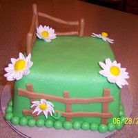 Country Fence With Daisies Green fondant covers the cake. The fence, flowers and balls (or peas as my hubby would call them) are also rolled fondant.