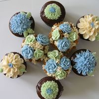 Cupcakes In Bloom 