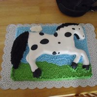 Horse I carved the horse first and then placed it on tope of a sheet cake covered the horse with fondant and then piped the background.