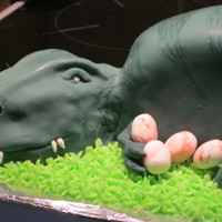 Dinosaur Cake Picture of dinosaur cake in progress - problems with icing sugar used to roll out royal icing leaving marks