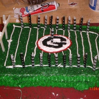 University Of Georgia Birthday Cake My first attempt at Cake Decorating--Made for a friend of mine when we were both at UGA.
