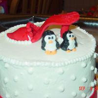 Dong_005.jpg Close up of penguin & shoes