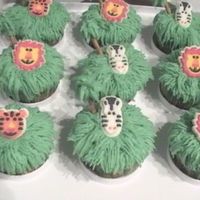 Jungle Theme Cupcakes I made these cupcakes for my 5 yr old daughters class. They were going to the zoo and I thought these would be perfect.