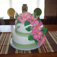 Hummingbird Birthday Cake I made this cake for a 100th birthday party! The birthday girl loves hummingbirds and hibiscus and the colors were in keeping with the...