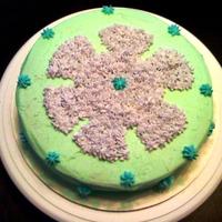 First Cake Last night was my first Wilton class. This wasn't assigned but I had some icing left in a piping bag. So I woke up this morning and...