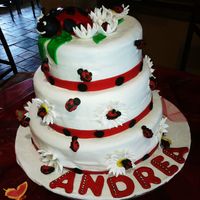 Lady Bugs 3 tier lady bug cake. 1st tier chocolate, middle margartia (no alchohol), bottome WASC with princess emulsion extract. covered in Rhondas...