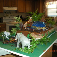 Animal Jungel The bottom layer was white cake and the top layer was orange cream cycle. It was chocolate butter cream icing and lake was piping gel.