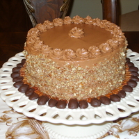 Chocolate Pecan Cake 