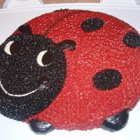 Ladybug Loved this ladybug cake! Thanks for looking