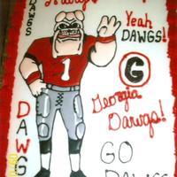 Georgia Bulldogs Color Flow.. My speciality.