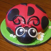 3D Ladybug Cake I donated this cake for a silent auction held at a 5K Benefit Run for a little 9 year old girl with cancer in my community. It brought in $...