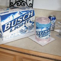 Busch Light I made this for a surprise 30th party, They wanted a 30 pack , and can of beer, I used eatible sugar sheets for the beer box, and the busch...