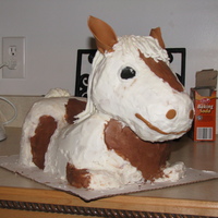 Horse Cake My niece asked for a paint horse cake for her bithday. I used 2- 9x13 cakes and 1 8" round cut in half for back and chest, and carved...