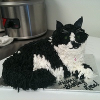Black & White Cat Cake 