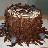 Tree Stump Cake 8 layer chocolate cake with vanilla frosting between layers, cream cheese frosting on top with hand piped chocolate icing rings. Chocolate...