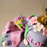 Tinkerbell And Iridessa Devils food cake with peanut butter buttercream and chocolate ganache