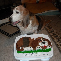 Bassett Hound Cake A birthday cake for our senior citizen dog, sadly it was his last.